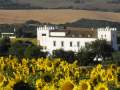 Hotel Rural Cortijo Barranco